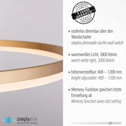 Paul Neuhaus Suspension LED Titus, Ø 80 cm, laiton, intensité variable| Suspensions Led|Suspensions