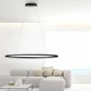 Paul Neuhaus Suspension LED Titus, 118x56cm, CCT, intensité variable| Suspensions Led|Suspensions