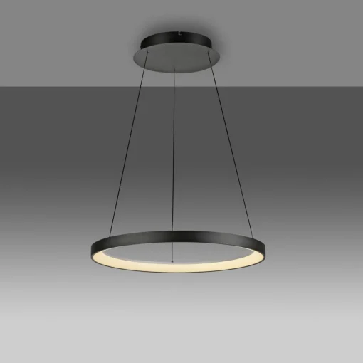 Paul Neuhaus Suspension LED Hoop, noir, Ø 57 cm, intensité variable| Suspensions Led|Suspensions