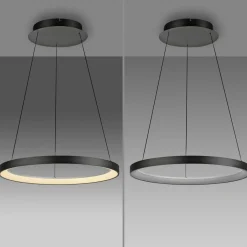 Paul Neuhaus Suspension LED Hoop, noir, Ø 57 cm, intensité variable| Suspensions Led|Suspensions