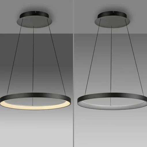 Paul Neuhaus Suspension LED Hoop, noir, Ø 57 cm, intensité variable| Suspensions Led|Suspensions