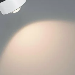 Paulmann Aldan URail spot LED 2.700K blanc| Luminaires Led D'Intérieur