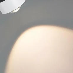 Paulmann Aldan URail spot LED 2.700K blanc| Luminaires Led D'Intérieur