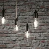 Paulmann ampoule bougie LED fil E14 4,8 W 4 000 K| Ampoules Filament|Ampoules Filament