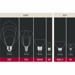Paulmann ampoule LED E27 7,5 W 865 806 lm dimmable| Lampes Led À Intensité Variable|Ampoules Led