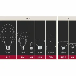 Paulmann ampoule LED E27 7,5 W 865 806 lm dimmable| Lampes Led À Intensité Variable|Ampoules Led
