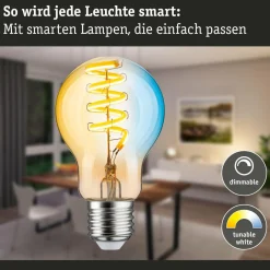 Paulmann ampoule LED ZigBee E27 7,5 W CCT dim or| Ampoules Connectées Et Intelligentes|Ampoules Connectées Et Intelligentes