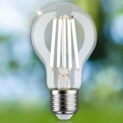 Paulmann Eco-Line ampoule LED E27 4W 840lm 4 000K| Ampoules Filament|Ampoules Filament
