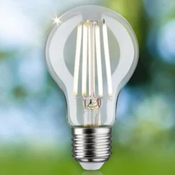 Paulmann Eco-Line ampoule LED E27 2,5W 525lm 4000K| Ampoules Filament|Ampoules Filament