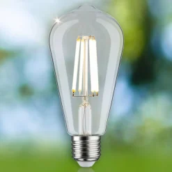 Paulmann Eco-Line LED rustique E27 4W 840lm 4 000K| Ampoules Filament|Ampoules Filament