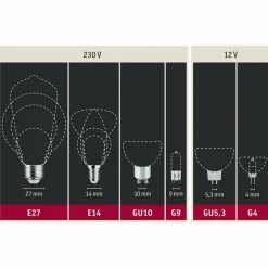 Paulmann globe LED E27 G125 Inner Shape 4 W doré| Lampes Led À Intensité Variable|Ampoules Led