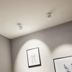 Paulmann Spircle spot en saillie LED blanc mat| Spots Et Projecteurs Led|Spots
