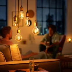 Philips ampoule LED E27 A60 4 W 1 800 K dorée, dim| Lampes Led À Intensité Variable|Ampoules Led