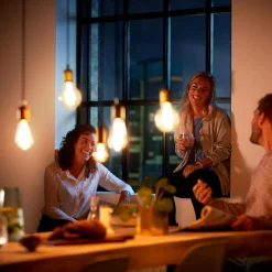 Philips ampoule LED E27 A60 4 W 1 800 K dorée, dim| Lampes Led À Intensité Variable|Ampoules Led