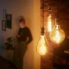 Philips E27 Giant ampoule tubulaire LED 7W or dimm.| Lampes Led À Intensité Variable|Ampoules Led