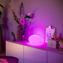 Philips Hue Flourish lampe à poser LED, RGBW| Lampes À Poser Led|Lampes À Poser Et Lampes De Table