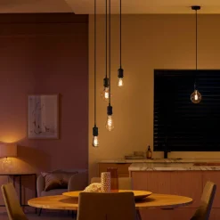 Philips Hue White Ambiance Edison filament E27 7W| Ampoules Connectées Et Intelligentes|Ampoules Connectées Et Intelligentes