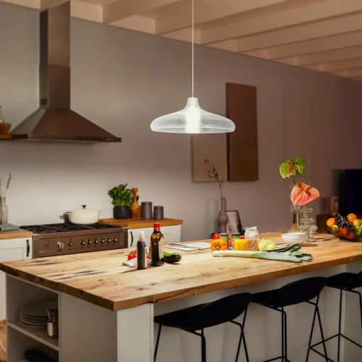 Philips Hue White E27 15,5W A67 ampoule LED 2 700K| Ampoules Connectées Et Intelligentes|Ampoules Connectées Et Intelligentes