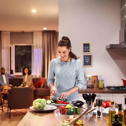 Philips Hue White+Color ampoule LED E27 15W| Ampoules Connectées Et Intelligentes|Ampoules Connectées Et Intelligentes