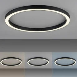 PURE Plafonnier LED Lines, Ø 70 cm, anthracite, CCT, télécommande| Plafonniers Led|Plafonniers