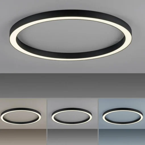 PURE Plafonnier LED Lines, Ø 70 cm, anthracite, CCT, télécommande| Plafonniers Led|Plafonniers