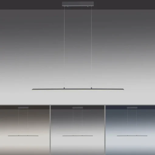 PURE Suspension LED Lite, anthracite, 100 cm, CCT, intensité variable| Suspensions Led|Suspensions