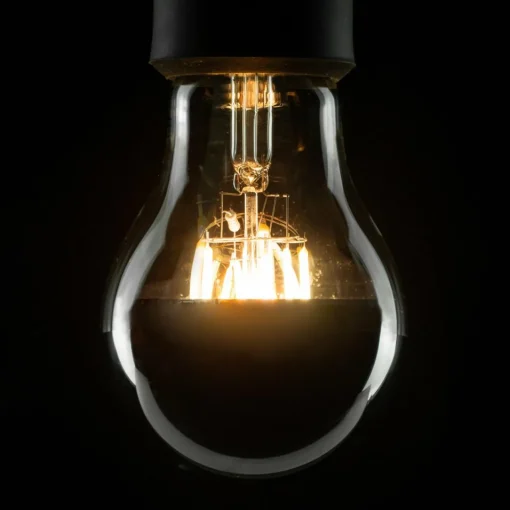 SEGULA Ampoule à tête miroir LED A67 E27 6,5W 2.700K| Lampes Led À Intensité Variable|Ampoules Led