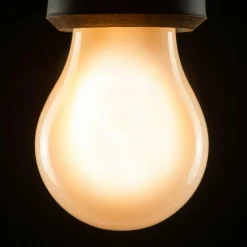 SEGULA Ampoule LED A15 E27 3W 2.200K à intensité variable mate| Lampes Led À Intensité Variable|Ampoules Led