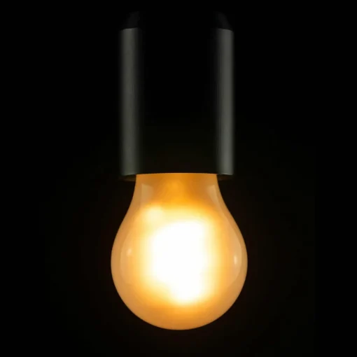 SEGULA ampoule LED E27 3,2 W 922 A15 mat dimmable| Lampes Led À Intensité Variable|Ampoules Led