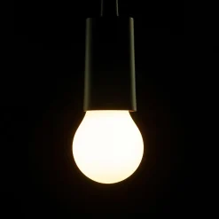 SEGULA ampoule LED E27 5 W opale ambient dimming| Lampes Led À Intensité Variable|Ampoules Led