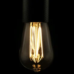SEGULA LED Soft Line Cage ST64 E27 6 W 2 200 K dim| Lampes Led À Intensité Variable|Ampoules Led