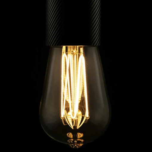 SEGULA LED Soft Line Cage ST64 E27 6 W 2 200 K dim| Lampes Led À Intensité Variable|Ampoules Led