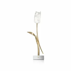 Slamp lampe de table LED rechargeable Tulip, pied blanc| Lampes À Poser Led|Lampes À Poser Et Lampes De Table