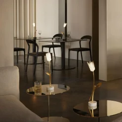 Slamp lampe de table LED rechargeable Tulip, pied noir| Lampes À Poser Led|Lampes À Poser Et Lampes De Table
