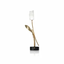 Slamp lampe de table LED rechargeable Tulip, pied noir| Lampes À Poser Led|Lampes À Poser Et Lampes De Table