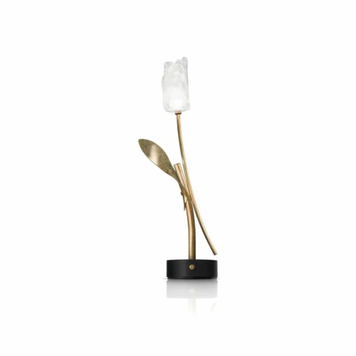 Slamp lampe de table LED rechargeable Tulip, pied noir| Lampes À Poser Led|Lampes À Poser Et Lampes De Table