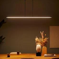 Steinhauer Suspension LED Zelena, noir, longueur 122cm, métal, CCT| Suspensions Led|Suspensions