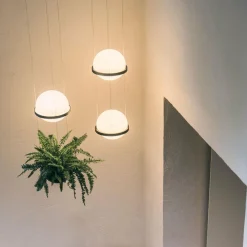 Vibia Palma 3724 suspension, bac plantes, graphite| Suspensions Led|Suspensions