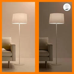 WiZ P45 Ampoule LED E27 4,9 W goutte satinée RGBW| Ampoules Connectées Et Intelligentes|Ampoules Connectées Et Intelligentes